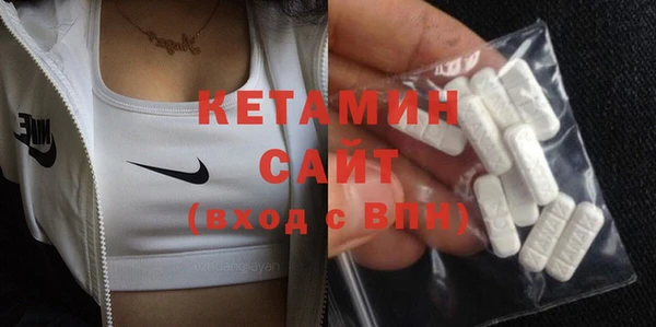 гашик Няндома