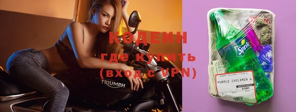 гашик Няндома