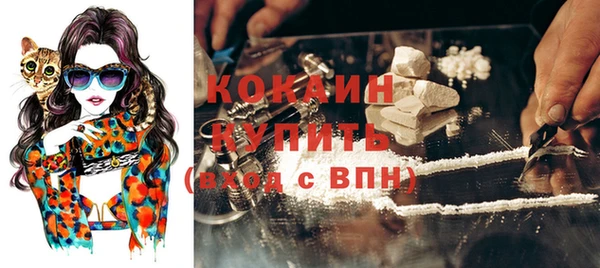 гашик Няндома