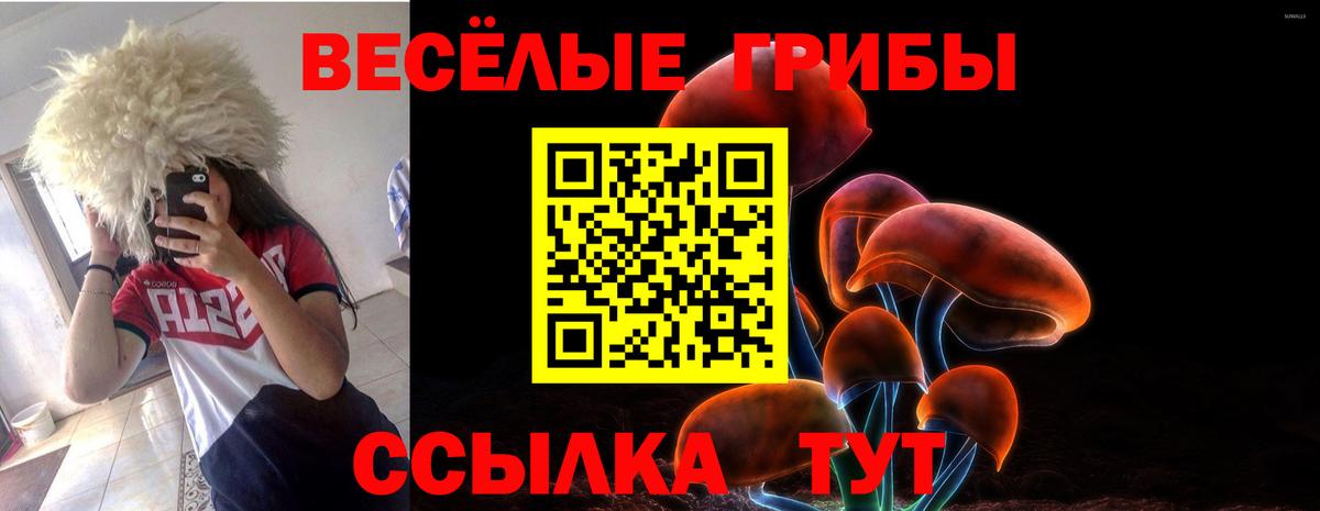 даркнет сайт  Псилоцибиновые грибы Magic Shrooms  Вход с VPN  Серов 